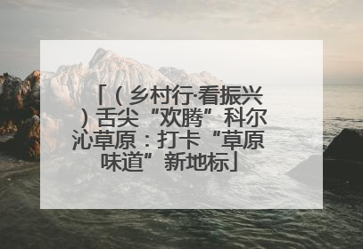 （乡村行·看振兴）舌尖“欢腾”科尔沁草原：打卡“草原味道”新地标