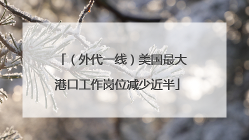 （外代一线）美国最大港口工作岗位减少近半