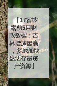 17省披露前5月财政数据：吉林增速最高，多地加快盘活存量资产资源