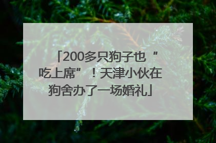200多只狗子也“吃上席”！天津小伙在狗舍办了一场婚礼