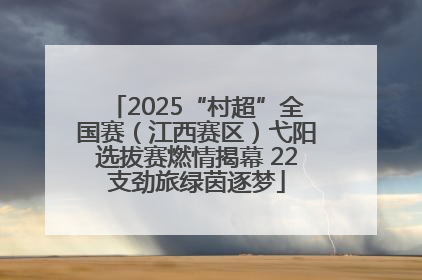 2025“村超”全国赛（江西赛区）弋阳选拔赛燃情揭幕 22支劲旅绿茵逐梦