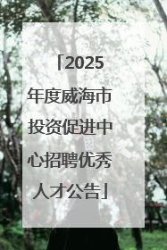 2025年度威海市投资促进中心招聘优秀人才公告