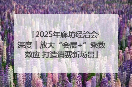 2025年廊坊经洽会·深度｜放大“会展+”乘数效应 打造消费新场景