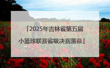 2025年吉林省第五届小篮球联赛省级决赛落幕