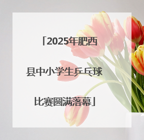 2025年肥西县中小学生乒乓球比赛圆满落幕