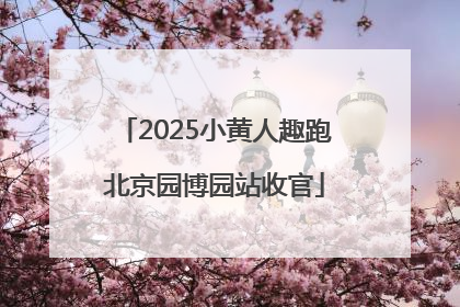 2025小黄人趣跑北京园博园站收官