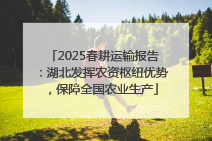 2025春耕运输报告：湖北发挥农资枢纽优势，保障全国农业生产