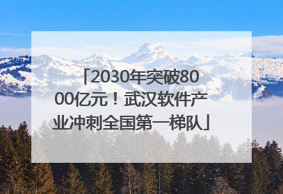 2030年突破8000亿元！武汉软件产业冲刺全国第一梯队