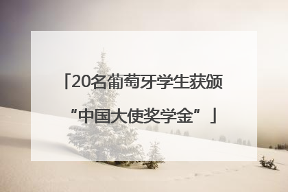 20名葡萄牙学生获颁“中国大使奖学金”
