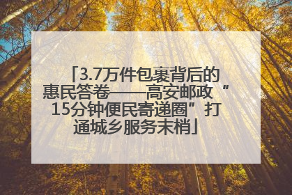 3.7万件包裹背后的惠民答卷——高安邮政“15分钟便民寄递圈”打通城乡服务末梢