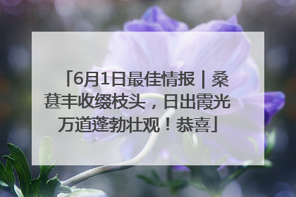 6月1日最佳情报｜桑葚丰收缀枝头，日出霞光万道蓬勃壮观！恭喜