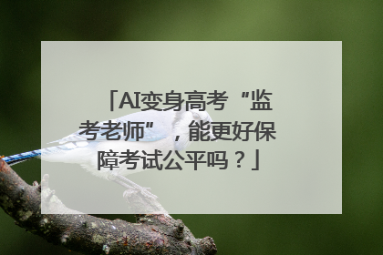 AI变身高考“监考老师”，能更好保障考试公平吗？