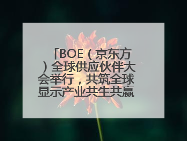 BOE（京东方）全球供应伙伴大会举行，共筑全球显示产业共生共赢新格局