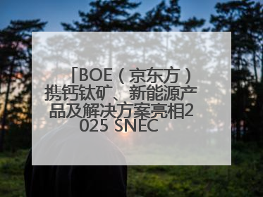 BOE（京东方）携钙钛矿、新能源产品及解决方案亮相2025 SNEC 科技创新赋能行业绿色发展