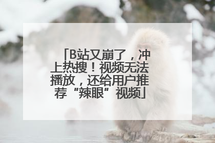 B站又崩了，冲上热搜！视频无法播放，还给用户推荐“辣眼”视频