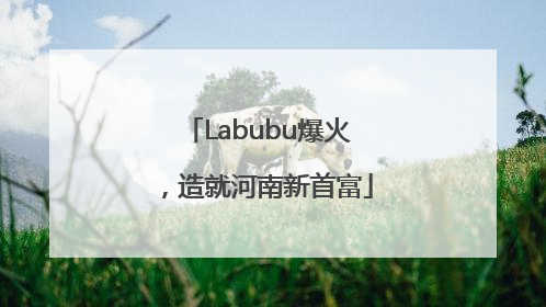 Labubu爆火，造就河南新首富